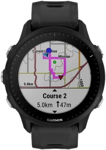 Умные часы Garmin Forerunner 955 EU (черный)