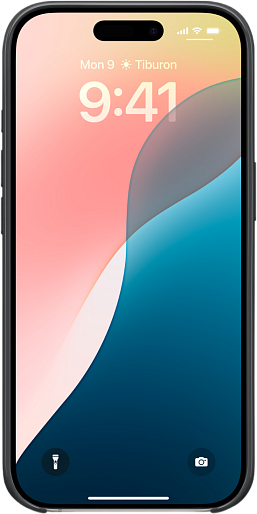 Оригинальный чехол Apple iPhone 16 Pro Beats with MagSafe (черный)