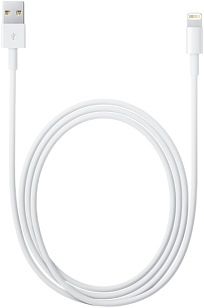 Изображение Lightning/USB Apple 1 m