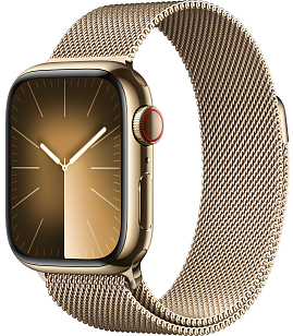 Изображение Apple Watch Series 9 Stainless Steel with Milanese Loop